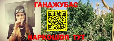 стаф Ливны