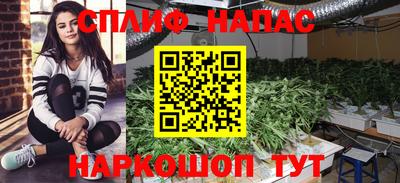 стаф Ливны