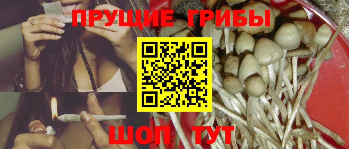 Псилоцибиновые грибы GOLDEN TEACHER Зеленокумск
